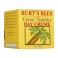 Burt's Bees mrkvový výživný denný krém 55g